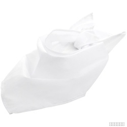 Шейный платок Bandana