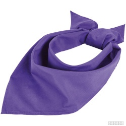 Шейный платок Bandana, темно